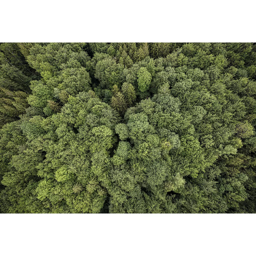 CANON EOS R5 Hybridkamera ohne Gehäuse – Bild 4