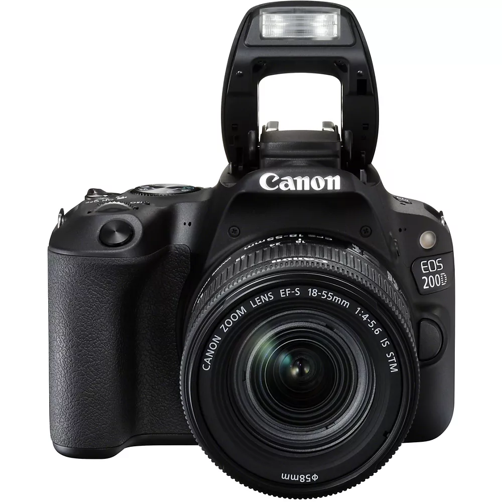 CANON EOS 2000D + EF-S 18-55 IS II + EF 50mm Spiegelreflexkamera – Bild 12