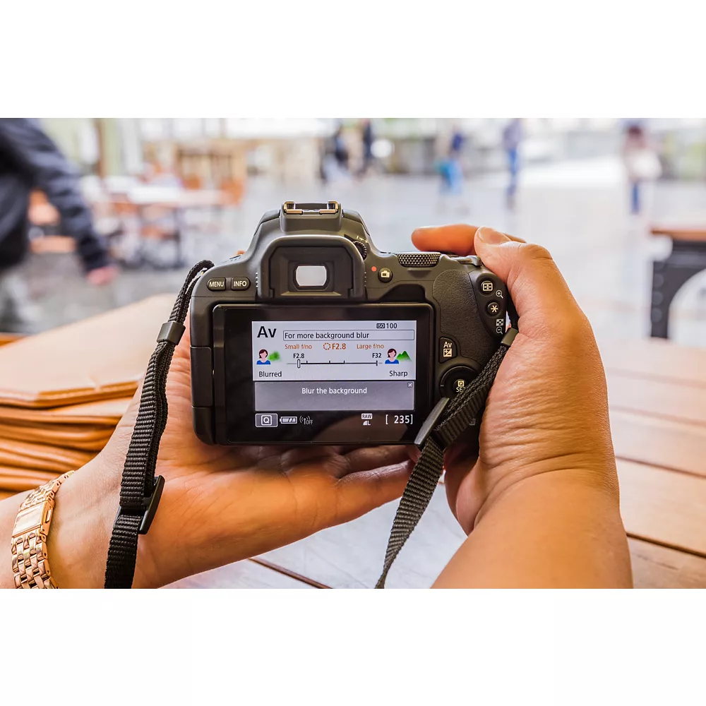 CANON EOS 2000D + EF-S 18-55 IS II + EF 50mm Spiegelreflexkamera – Bild 2